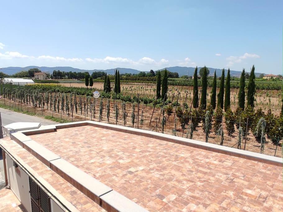 Affittacamere Villa Mary Pistoia Exterior photo